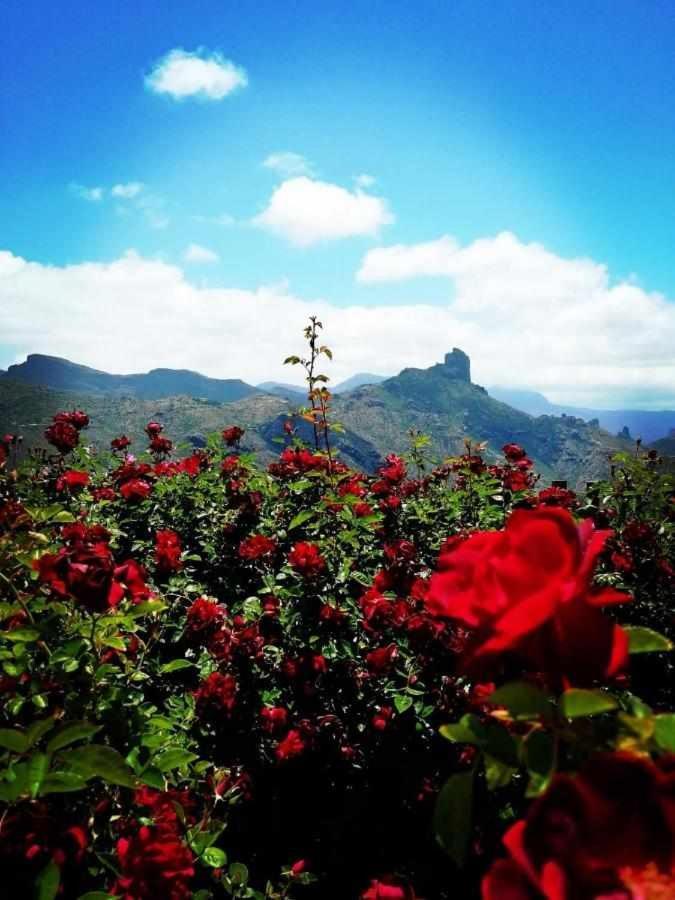 Pensjonat El Rincon Del Nublo Tejeda  Zewnętrze zdjęcie