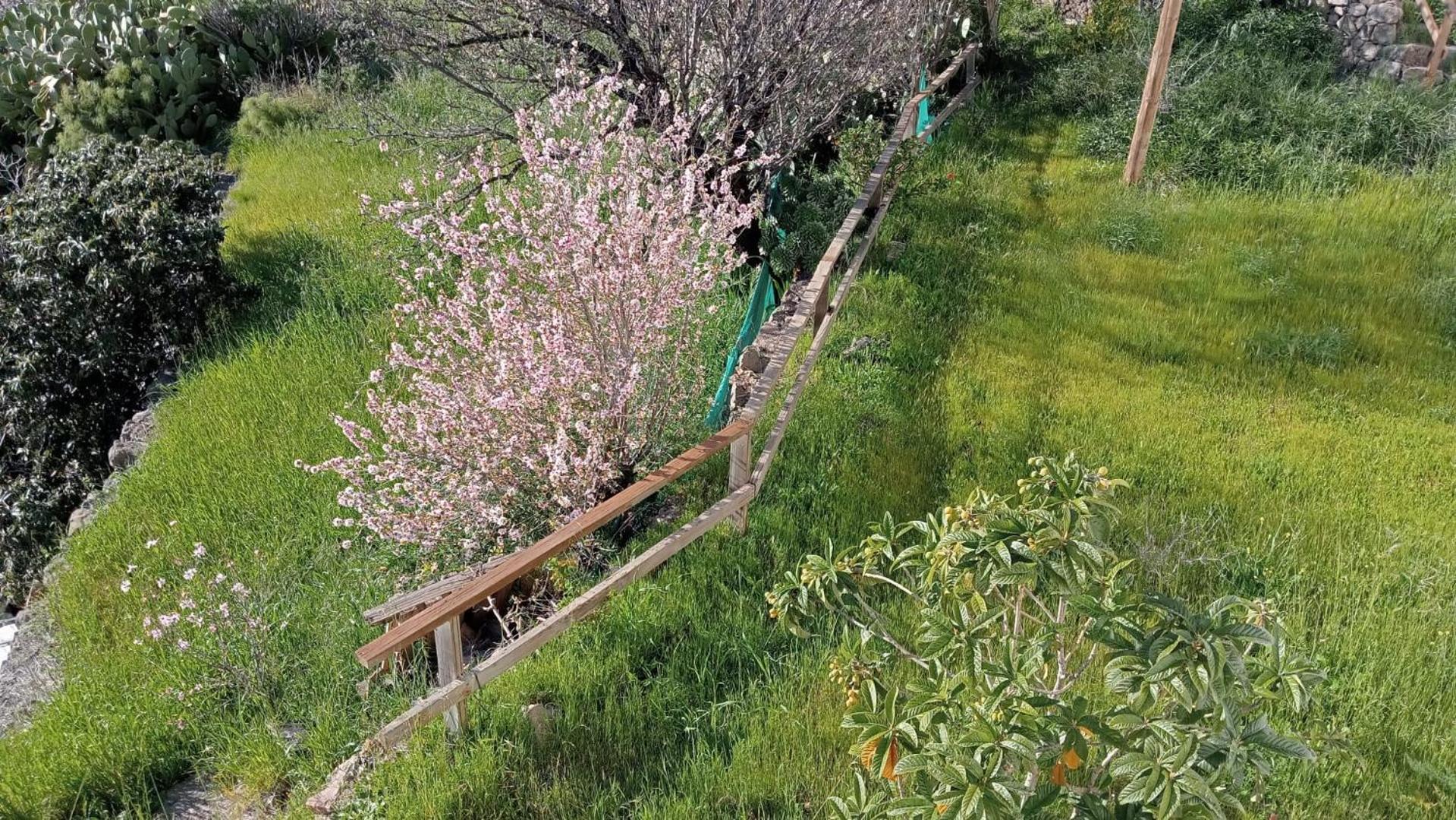 Pensjonat El Rincon Del Nublo Tejeda  Zewnętrze zdjęcie