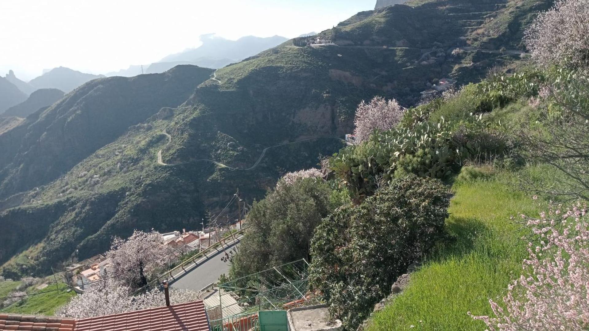 Pensjonat El Rincon Del Nublo Tejeda  Zewnętrze zdjęcie