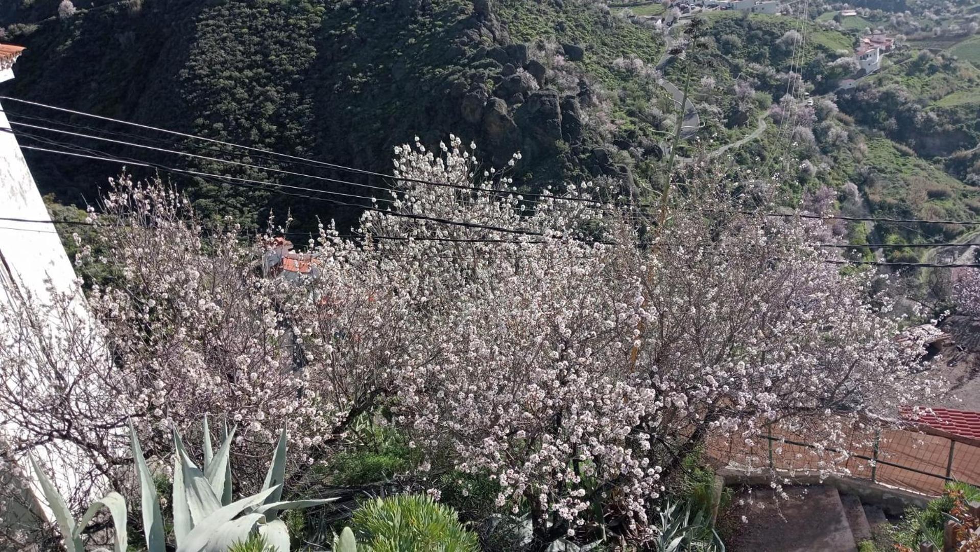 Pensjonat El Rincon Del Nublo Tejeda  Zewnętrze zdjęcie